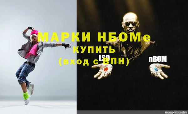 трава Аркадак