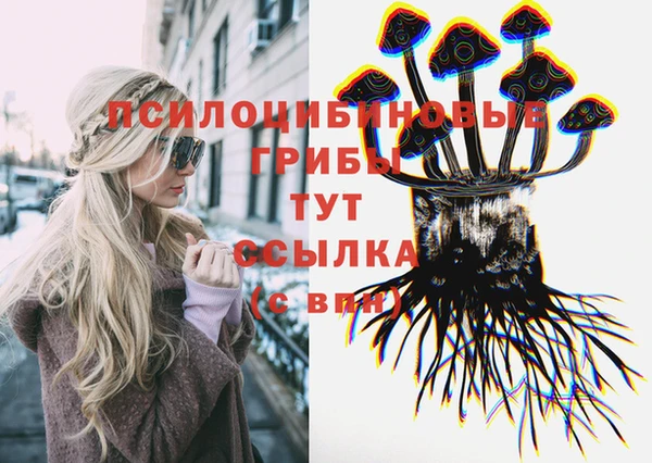 mix Армянск
