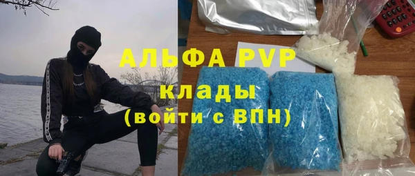 трава Аркадак